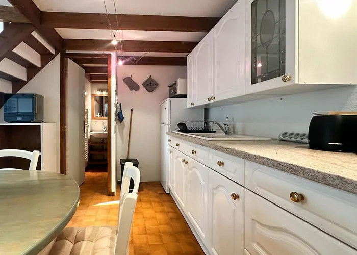 Maison 2 à La Palmyre Avec Wifi Et Animaux Admis - Fr-1-705-99 Casa de Férias *