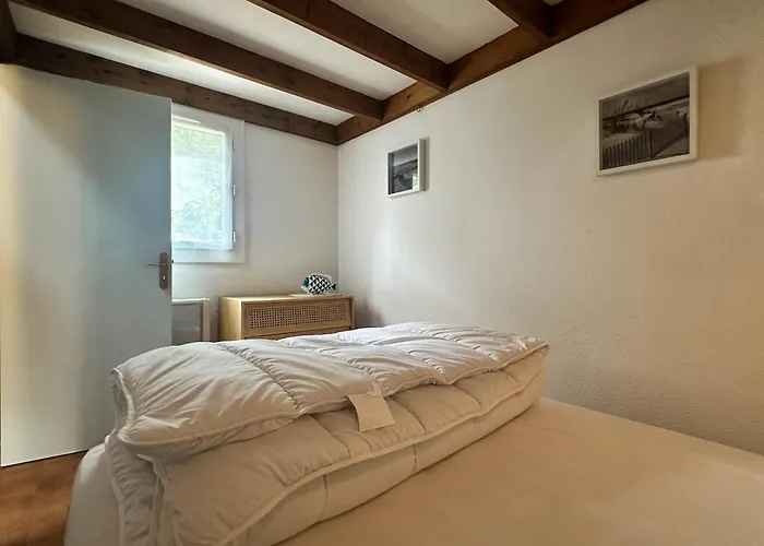 Maison 2 à La Palmyre Avec Wifi Et Animaux Admis - Fr-1-705-99 Les Mathes